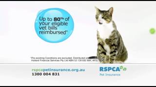 RSPCA | Pet Insurance