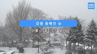 [KBS뉴스춘천] 강원 동해안 눈... 산불 가뭄 걱정 덜어