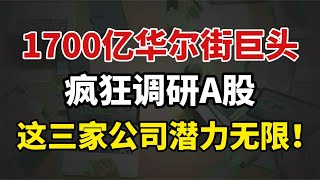 1700亿华尔街巨头，疯狂调研A股，这三家公司潜力无限！