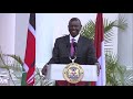 Kenya and Indonesia to pursue all partnership opportunities available - President Ruto