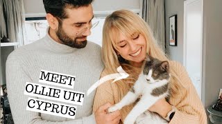 Tijd voor gezinsuitbreiding! We adopteren een tweede kitty ❤️