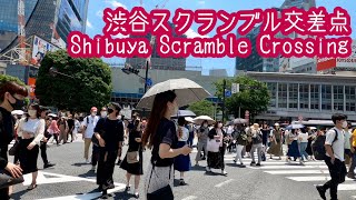 【4K Japan】Shibuya Scramble Crossing/渋谷スクランブル交差点を渡ってみた【Tokyo】