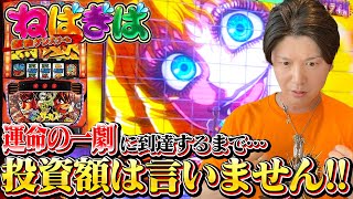 【からくりサーカス】運命の一劇到達まで投資額は言わない秘密のサーカス開幕【ねばぎば#48前編】【諸ゲン】【スマスロ】