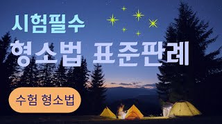 29. 공범 아닌 공동피고인, 공범인 공동피고인의 증인적격(172~177) [표준판례 필수판례 형소법판례 형사소송법판례 형사법클래스]