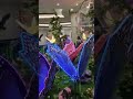 Butterfly Garden @Sahara Centre, Sharjah #shortvideo #youtubeshorts #Butterflygarden #Saharacentre