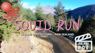 Squid Run | Skyline Queenstown | POV