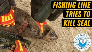 Fishing Line Tries To Kill Seal