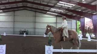 Cowboy Dressage Walk Jog  #3 Debbie Beth Halachmy