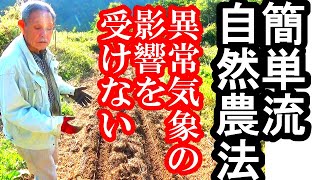 異常気象の影響を受けない　簡単流自然農法 　沸騰時代の栽培法