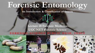 Forensic Entomology - An Introduction \u0026 Classification | Lecture - 28 | UGC NET - Forensic Science