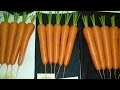 Allotment Diary : How I grow Exhibition Long & Stump Carrots