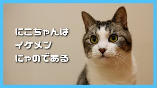 🔴【にこりら】卒園するのは誰でしょう？ライブ🎶