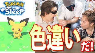 【ピチュー】気付かないうちに色違いゲット！？！？！？【ポケモンスリープ】