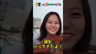 撮影に行ってきたよ！なんのお仕事かわかるかな？ #Shorts 【シゴトのトビラ】