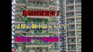 長樹的建築來了！成都這個小區家家戶戶陽台有“一座森林”