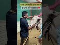 जयेश दादा आणि सोन्या दादाचा सोन्यावर प्रेम बघा♥️ हिंदकेसरी 5050 viral viralvideo बैलगाडा