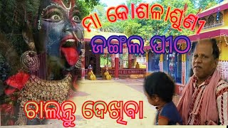 ମା କୋଶଳାଶୁଣୀ ଜଙ୍ଗଲ ପୀଠରେ ଅନୁରୋଧ କରୁଛି ଆପଣମାନଙ୍କୁ ଏକବାର ଆସନ୍ତୁ ପ୍ରଥମରୁ ସେସପଜତ୍ତଦଖନ୍ତୁ/Morden Raja