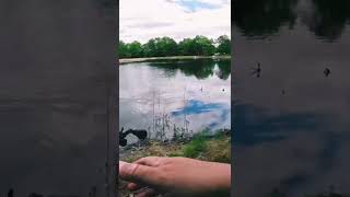 Missed fish not paying attention Fishing Fail