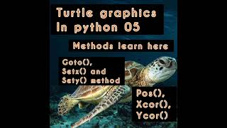 Turtle graphics in python 05 || learn goto, setx, sety, pos, xcor, ycor methods || turtle's state