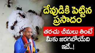 దేవుడికి పెట్టిన ప్రసాదం చీమలు తింటే ఏం జరుగుతుందో తెలుసా Sri Chaganti Koteswara Rao speeches 2023