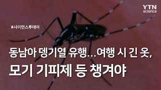 동남아 뎅기열 유행...여행 시 긴 옷, 모기 기피제 등 챙겨야 / YTN 사이언스