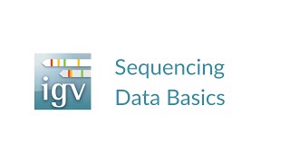IGV | Sequencing Data Basics