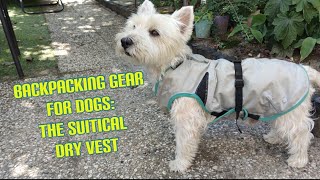 Backpacking gear for dogs: The suitical dry vest. A unique cooling vest that Ravi absolutely loves!