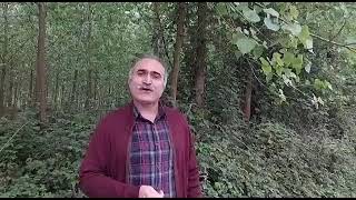 غزل : شیون فومنی 🌿 دکلمه : غلامرضا اکبرزاده باغبان... سایبان سر من کجایی ؟!سرو بار آور من کجایی...