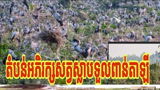 តំបន់អភិរក្សសត្វស្លាបនៅបឹងស្នេហ៍ខេត្តព្រៃវែង(ទូលពាន់តាឡី)