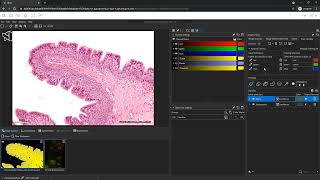 Introduction to Aivia - AI-powered image analysis: pixel classifier tutorial