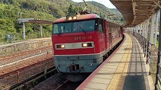 JR北陸本線・新疋田を13時45分頃に通過するEF510-15号機+コンテナ貨物.富山貨物ターミナル行