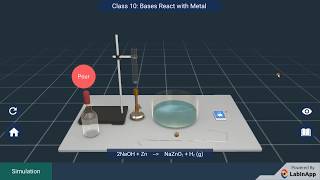How do Bases React with Metals?