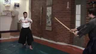 Ogawa Ryu - Bojutsu - Bo to Ken Training moments