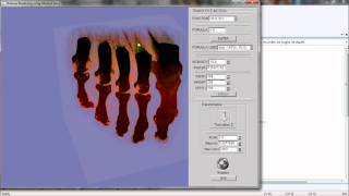 Volume Raycasting of Human Paw.wmv