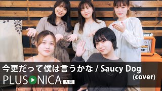 今更だって僕は言うかな / Saucy Dog (cover)