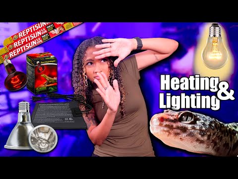 Do banded geckos need a heat lamp?