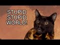 Talking Kitty Cat - ♫ Stupid Stupid World ♫