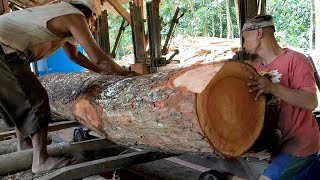 cedar..! full kronologi proses penggergajian kayu besar di sawmill