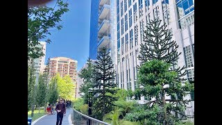 Salesforce Park - Walking Tour and Guide to its Trees and Plants