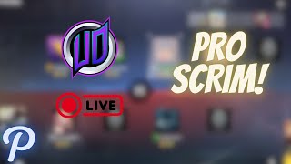 uD SCRIMS !!