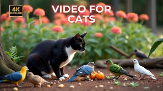 Cat TV: Colorful Birds and Nature Views to Mesmerize Your Cat | 8 Hours 4K 60fps