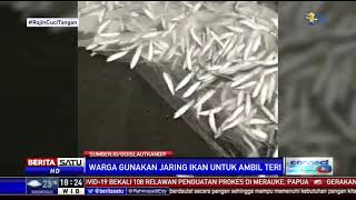 Viral Ribuan Ikan Berlompatan ke Pesisir Pantai Selatan Yogyakarta