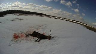 牧草地でほふく前進し射撃した瞬間、お～～凄い！