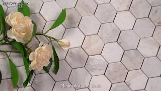 Century Mosaic Arabescato Venato Hexagon Mosaic Tile