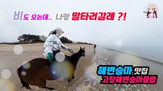 해변 승마 울렁증있는데 비오는날 해변승마 가보기 #horseriding