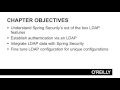 Spring Security 28   LDAP Authentication Overview