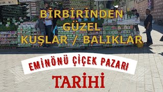 Eminönü Çiçek Pazarını Sizler İçin Çektim