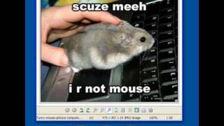 Mouse Tutorial - Computer basics tutorial 1