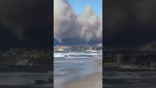 Palisades Wildfire smoke fills the sky in California