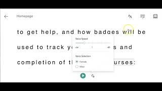 How to use Immersive Reader Features
